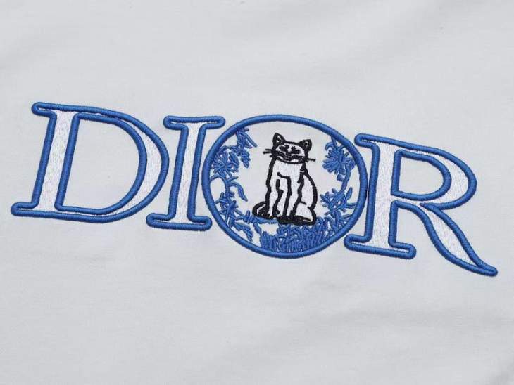 Dior T Shirts Short _SKUDiorS-XL8qx0415803